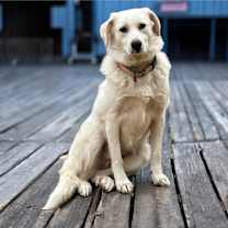 Thumbnail photo of Baby Cakes #4