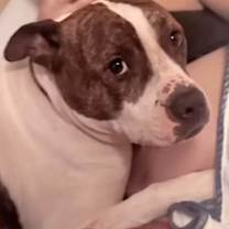 Thumbnail photo of Zeus #1