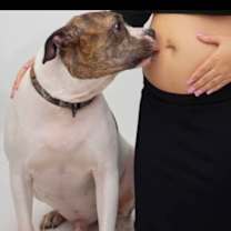 Thumbnail photo of Zeus #2