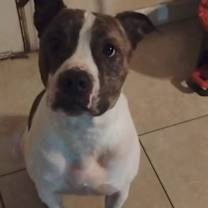 Thumbnail photo of Zeus #3