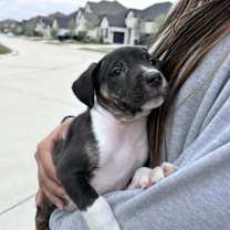 Thumbnail photo of Jacks #4