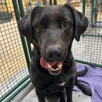 Thumbnail photo of Kiah #2