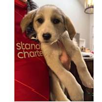 Thumbnail photo of Super Bowl Snacks:  Queso #1