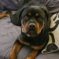 Thumbnail photo of Lucy #4