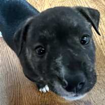 Thumbnail photo of Brannan #2