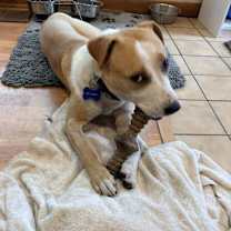 Thumbnail photo of Meghan #4