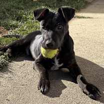 Thumbnail photo of LEVEN #1