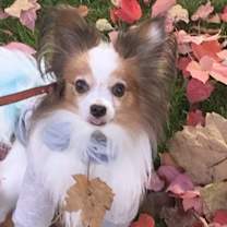 Thumbnail photo of Marty #1