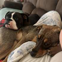 Thumbnail photo of Coco #2