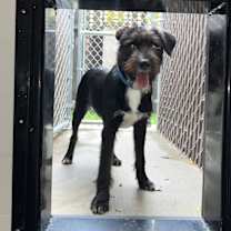 Thumbnail photo of Franklin #4