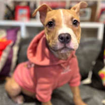 Thumbnail photo of Snow #1