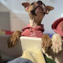 Thumbnail photo of Snow #2