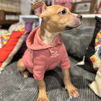 Thumbnail photo of Snow #4