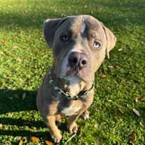 Thumbnail photo of Yukon - 2 #2