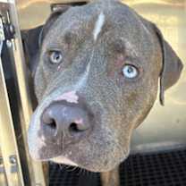 Thumbnail photo of Yukon - 2 #3