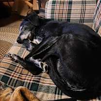 Thumbnail photo of Becka #3