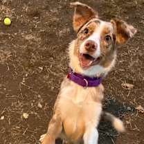 Thumbnail photo of Jitterbug #3