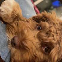 Thumbnail photo of Ellie #3