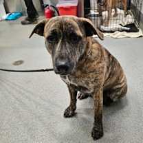 Thumbnail photo of Lorna #2