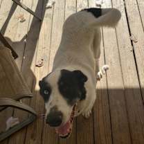 Thumbnail photo of Olivia #1