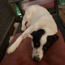 Thumbnail photo of Olivia #2