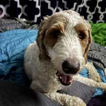 Thumbnail photo of Charlotte #1