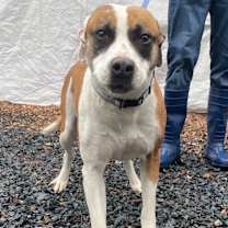 Thumbnail photo of Jordan #2