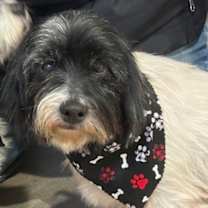 Thumbnail photo of George #1