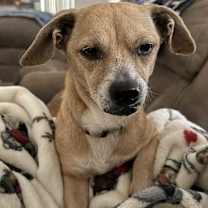 Thumbnail photo of Sally #2