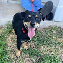 Thumbnail photo of Freddy IB #1