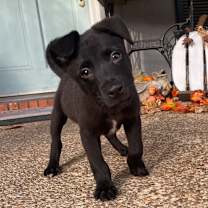 Thumbnail photo of Eddy #1