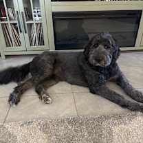 Thumbnail photo of Penelope #2