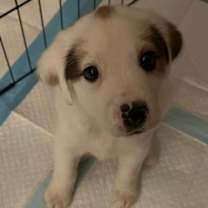 Thumbnail photo of MIster #1