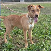 Thumbnail photo of Hazel JuM  #4