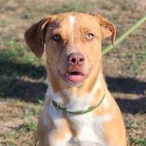 Thumbnail photo of Hazel JuM  #1