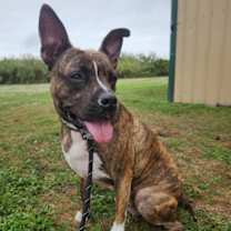 Thumbnail photo of Angel #2