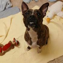 Thumbnail photo of Angel #4