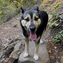 Thumbnail photo of Hudson #1