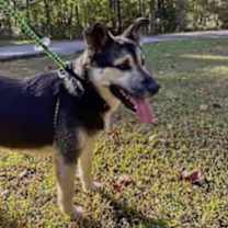 Thumbnail photo of Hudson #3