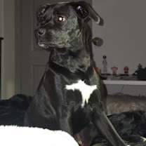 Thumbnail photo of Marceline #3