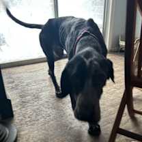 Thumbnail photo of Waylen #3