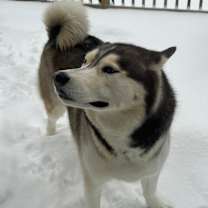 Thumbnail photo of Sony #1