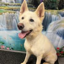 Thumbnail photo of Daxton #3