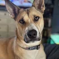 Thumbnail photo of Sophia Marie #2