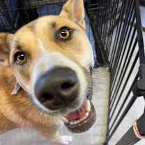 Thumbnail photo of Sophia Marie #3