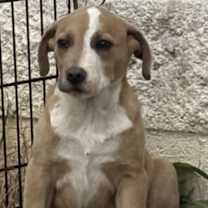 Thumbnail photo of Martha May #3