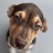 Thumbnail photo of Jack #1