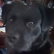 Thumbnail photo of Ace #4