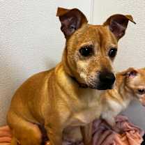 Thumbnail photo of Barkley #2