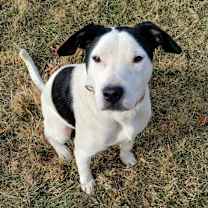 Thumbnail photo of Tuck #1